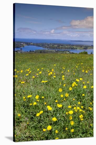 Wild meadowlands on Chiloe Island, Patagonia, Chile, South America-Alex Robinson-Stretched Canvas