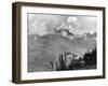 Wild Mountain Flowers-null-Framed Photographic Print