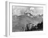 Wild Mountain Flowers-null-Framed Photographic Print
