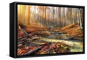 Wild Mountain River in the Autumn Forest-Givaga-Framed Stretched Canvas
