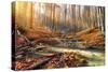Wild Mountain River in the Autumn Forest-Givaga-Stretched Canvas
