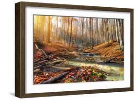 Wild Mountain River in the Autumn Forest-Givaga-Framed Photographic Print