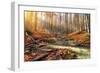 Wild Mountain River in the Autumn Forest-Givaga-Framed Photographic Print