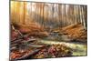 Wild Mountain River in the Autumn Forest-Givaga-Mounted Photographic Print