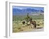 Wild Mules, the Spring Mountains, Nevada, USA-Fraser Hall-Framed Photographic Print