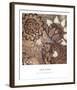 Wild Mushroom II-Kate Birch-Framed Art Print