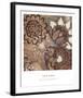 Wild Mushroom II-Kate Birch-Framed Art Print