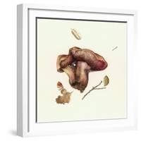 Wild Mushroom-Alison Cooper-Framed Giclee Print