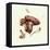 Wild Mushroom-Alison Cooper-Framed Stretched Canvas