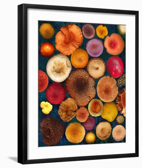 Wild Mushrooms all Caps Fungi Forest-null-Framed Art Print