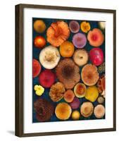 Wild Mushrooms all Caps Fungi Forest-null-Framed Art Print