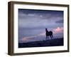 Wild Mustang Horses Running Across Field in Wyoming and Montana-Bill Eppridge-Framed Photographic Print