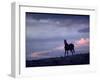 Wild Mustang Horses Running Across Field in Wyoming and Montana-Bill Eppridge-Framed Photographic Print