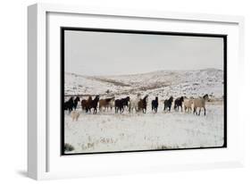 Wild Mustang Horses Running Across Field in Wyoming and Montana-Bill Eppridge-Framed Photographic Print