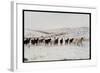 Wild Mustang Horses Running Across Field in Wyoming and Montana-Bill Eppridge-Framed Photographic Print