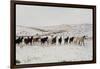 Wild Mustang Horses Running Across Field in Wyoming and Montana-Bill Eppridge-Framed Photographic Print