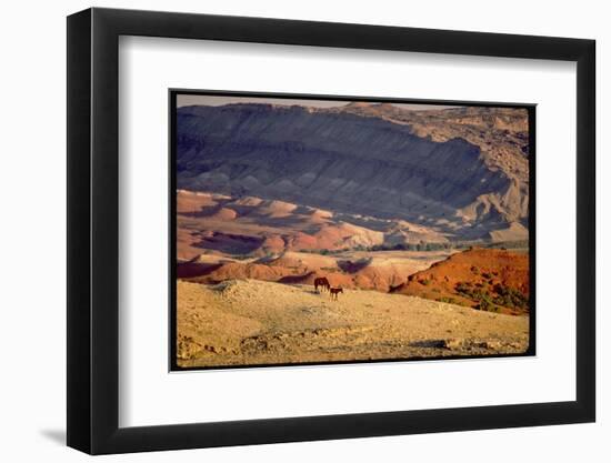 Wild Mustang Horses Running Across Field in Wyoming and Montana-Bill Eppridge-Framed Photographic Print