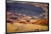 Wild Mustang Horses Running Across Field in Wyoming and Montana-Bill Eppridge-Mounted Photographic Print