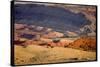 Wild Mustang Horses Running Across Field in Wyoming and Montana-Bill Eppridge-Stretched Canvas