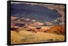 Wild Mustang Horses Running Across Field in Wyoming and Montana-Bill Eppridge-Framed Stretched Canvas