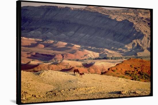 Wild Mustang Horses Running Across Field in Wyoming and Montana-Bill Eppridge-Stretched Canvas