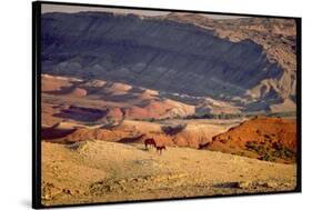 Wild Mustang Horses Running Across Field in Wyoming and Montana-Bill Eppridge-Stretched Canvas