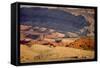 Wild Mustang Horses Running Across Field in Wyoming and Montana-Bill Eppridge-Framed Stretched Canvas