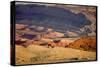 Wild Mustang Horses Running Across Field in Wyoming and Montana-Bill Eppridge-Stretched Canvas