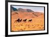 Wild Mustang Horses Running Across Field in Wyoming and Montana-Bill Eppridge-Framed Photographic Print