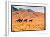 Wild Mustang Horses Running Across Field in Wyoming and Montana-Bill Eppridge-Framed Photographic Print