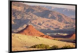 Wild Mustang Horses Running Across Field in Wyoming and Montana-Bill Eppridge-Mounted Photographic Print