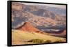 Wild Mustang Horses Running Across Field in Wyoming and Montana-Bill Eppridge-Framed Stretched Canvas