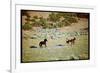 Wild Mustang Horses Running Across Field in Wyoming and Montana-Bill Eppridge-Framed Photographic Print