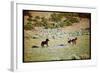 Wild Mustang Horses Running Across Field in Wyoming and Montana-Bill Eppridge-Framed Photographic Print