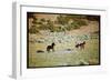 Wild Mustang Horses Running Across Field in Wyoming and Montana-Bill Eppridge-Framed Photographic Print