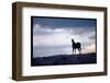 Wild Mustang Horses Running Across Field in Wyoming and Montana-Bill Eppridge-Framed Photographic Print