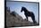 Wild Mustang Horses Running Across Field in Wyoming and Montana-Bill Eppridge-Mounted Photographic Print