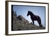 Wild Mustang Horses Running Across Field in Wyoming and Montana-Bill Eppridge-Framed Photographic Print