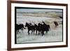 Wild Mustang Horses Running Across Field in Wyoming and Montana-Bill Eppridge-Framed Photographic Print