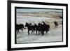 Wild Mustang Horses Running Across Field in Wyoming and Montana-Bill Eppridge-Framed Photographic Print