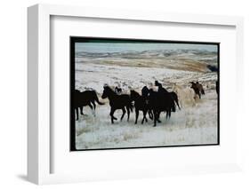 Wild Mustang Horses Running Across Field in Wyoming and Montana-Bill Eppridge-Framed Photographic Print