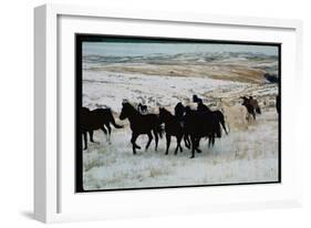 Wild Mustang Horses Running Across Field in Wyoming and Montana-Bill Eppridge-Framed Photographic Print