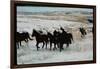 Wild Mustang Horses Running Across Field in Wyoming and Montana-Bill Eppridge-Framed Photographic Print