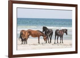 Wild Mustangs in Currituck National Wildlife Refuge, Corolla, Outer Banks, North Carolina-Michael DeFreitas-Framed Photographic Print