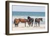 Wild Mustangs in Currituck National Wildlife Refuge, Corolla, Outer Banks, North Carolina-Michael DeFreitas-Framed Photographic Print