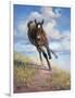 Wild Oats-Jack Sorenson-Framed Premium Giclee Print