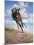 Wild Oats-Jack Sorenson-Mounted Premium Giclee Print