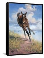 Wild Oats-Jack Sorenson-Framed Stretched Canvas