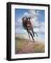 Wild Oats-Jack Sorenson-Framed Art Print