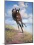 Wild Oats-Jack Sorenson-Mounted Art Print